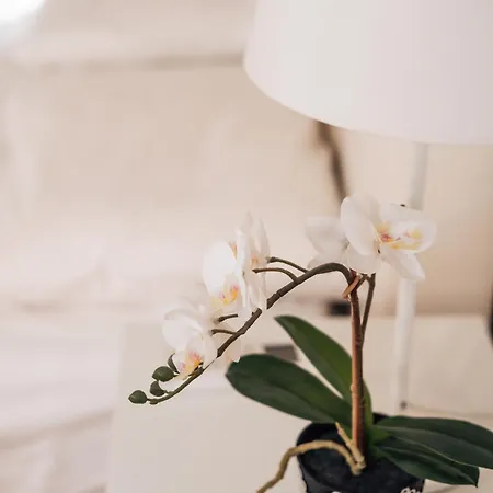 דירה Crown Three Bedroom